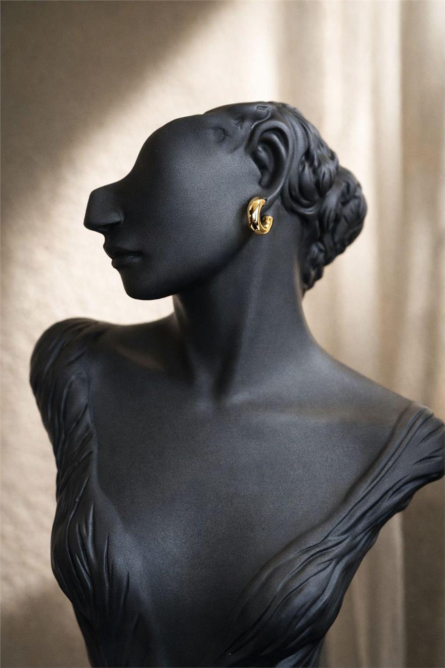 Sierra05 Kararmaz Gold Çelik Halka Küpe